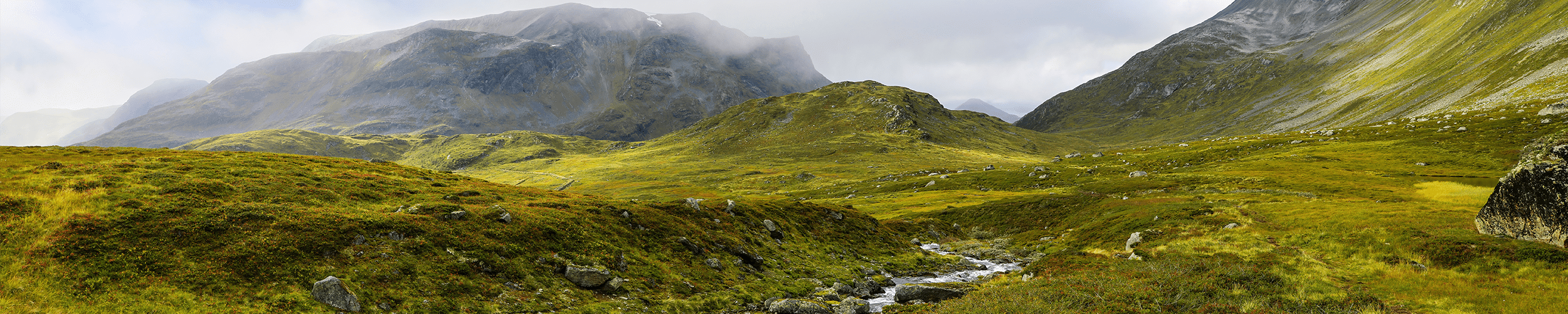 Miljø og etisk handel